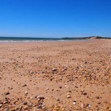 a beach