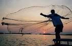 Casting nets
