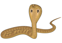 cobra snake
