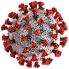 Covid virus