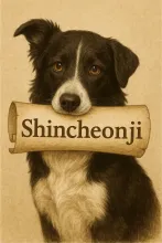 Zuko Explains – Shincheonji